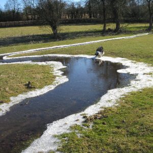 2011 – January – HAPPY NEW YEAR!