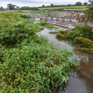 2020 – December Update