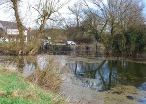 2015 – February FAQs