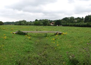 2010 – May – Spring is Sprung; the River’s Riz…. I wonder where the fishes iz.