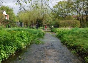 2013 – May Meanderings