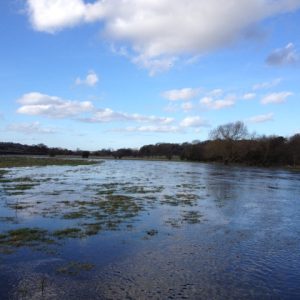 2014 – March Moppings