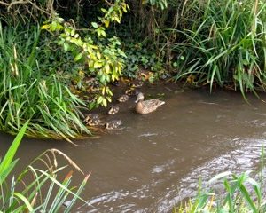 2014 – May musings