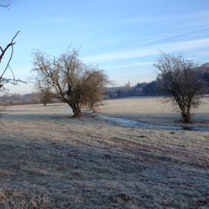 2015 – January Jingle