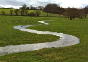 2013 – February Flows