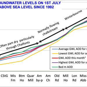 2023 – June Jewels