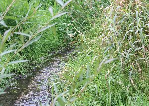 2009 – November – Into Year 2 but still uphill